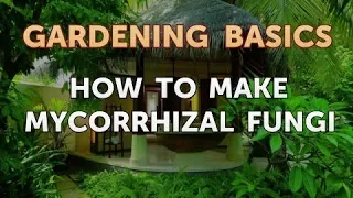 How to Make Mycorrhizal Fungi