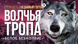 ВОСХОЖДЕНИЕ НА ВОЛЧЬЮ ГОРУ ► THE LONG DARK (НЕЗВАНЫЙ ГОСТЬ) # 5