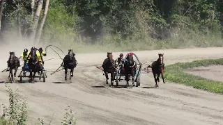 30.07.2022г Абакан Приз Русская Раздолье (Русские тройки) 2400м