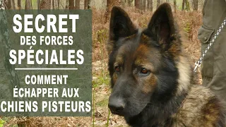 SECRET DES FORCES SPÉCIALES - Comment échapper aux chiens pisteurs