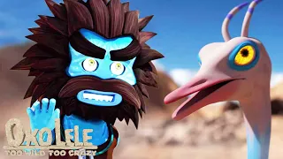 Oko Lele ⚡ The Flying Ostrich — Special Episode 🦃 NEW 🐦 Episodes Collection ⭐ CGI animated short