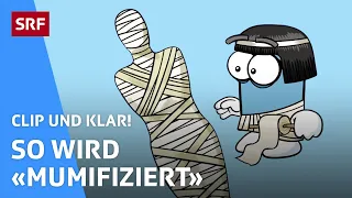 Wie entsteht eine Mumie? | Clip und klar! | SRF Kids – Kindervideos