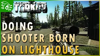 Guide: Dealing with the Changes to A Shooter Born in Heaven On Lighthouse - Escape from Tarkov