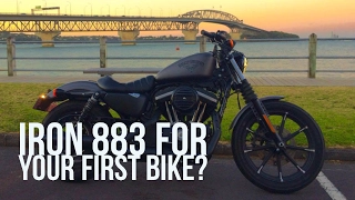Harley Davidson Iron 883 for a beginner?