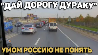 Автоподборка "Дай Дорогу Дураку"🚨 Неадекватные Водители#175