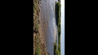 Река Оша в селе Кабырдак