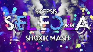 Skepsis - Selecta ( Sh0Xik Mash 2k18 )