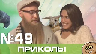 Лучшие вайны и приколы Декабрь 2016 Выпуск 49