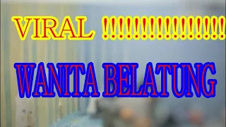 BELATUNG VIRAL 2022