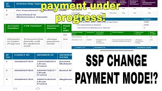 SSP SCHOLARSHIP LATEST UPDATE|PAYMENT UNDER PROGRESS|SSP SCHOLARSHIP LATEST UPDATE|students solution