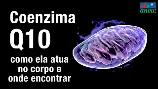 Coenzima Q10 - o que é e como atua na saúde