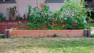 GARDEN TOUR: Raised Planter June 3rd