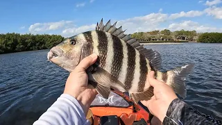 This Bait is a GAME CHANGER! How to Rig Oysters to Catch BIG Sheepshead!