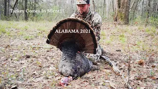 ALABAMA TURKEY COMES IN SILENT!