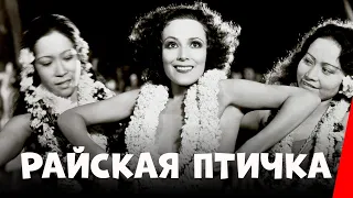 Райская птичка (1932) фильм драма мелодрама приключения