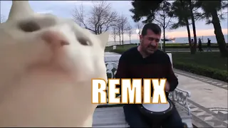 Cat Vibing To Ievan Polkka Remix Cat Vibing To Music | Cat Vibing Meme Remix Version