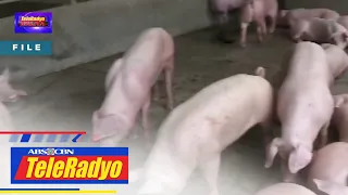 PPA nagbabala laban sa pagbibiyahe ng pork and poultry products | TeleRadyo Balita (5 Apr 2023)