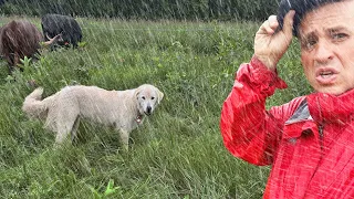 Epic Rains and Flooding Hit the Farm HARD