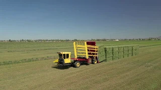 Stacking Hay