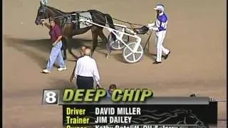 Deep Chip - Ohio Sires Stakes Champion