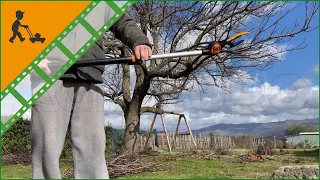 Heavy-duty Fiskars UPX86 Telescopic Pruning Shears - 240-400 cm pole - Customer's operating video