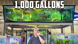 This Is The BIGGEST Fish Store I’ve Ever Seen!