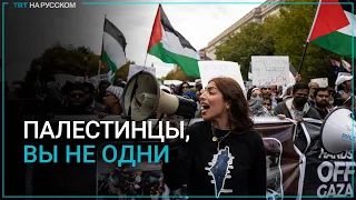 Американцы вышли на улицы Вашингтона с кастрюлями и сковородками в поддержку Палестины