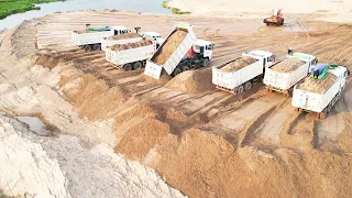 Large Amount Dump Truck Unloading Sand Filling Up Wheel Loader Bulldozer Specializing Spreading Sand