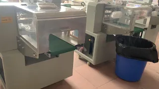 Pillow packaging machine-450x packaging belt demonstration 枕式包裝機-450x包裝皮帶演示