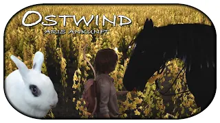 OSTWIND - ARIS ANKUNFT 🐴 17 🐇 Freiheit für das Pferd