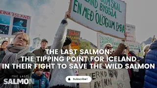 The Last Salmon: The tipping point for Iceland in their fight to save the wild salmon