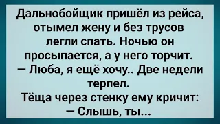 Дальнобойщик с Женой Легли Спать Без Трусов! Сборник Свежих Анекдотов! Юмор!