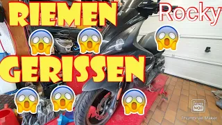 Roller Peugeot JetForce Riemen wechseln / Antriebsriemen Gerissen Scooter / Motor Riemen tauschen