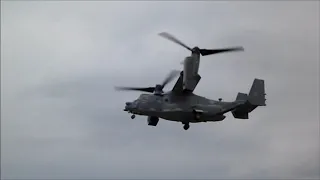 RIAT 2019