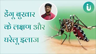 डेंगू बुखार के लक्षण, इलाज और घरेलू उपाय | Dengue fever symptoms, treatment and home remedies Hindi