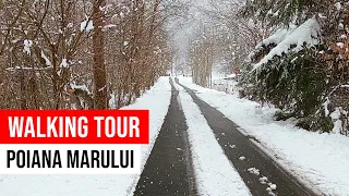 Treadmill Walking Video | Poiana Mărului, Caraș Severin | GoPro Hero 8 Walking Tour (March 2021)