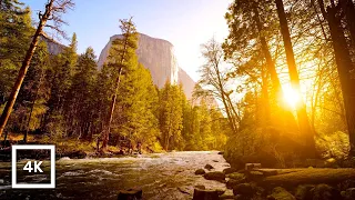 4K Merced River Sunset, Yosemite | Gentle River Sounds for Sleep & Relax | Natural White Noise