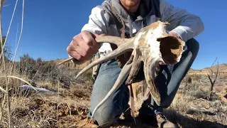 3 LATE SEASON SHED HUNTS