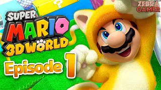 Super Mario 3D World Nintendo Switch Gameplay Walkthrough Part 1 - World 1 100%! Cat Mario!
