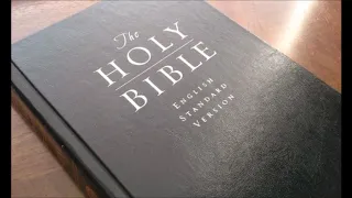 ESV English Standard Version MP3 Bible 2 -   26 Ezekiel