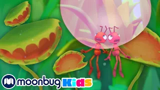 Bubble Trouble! | Antiks | Learn ABC 123 | Fun Cartoons | Moonbug Kids