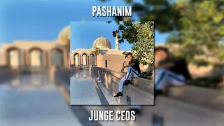 Pashanim - Junge Ceos (Speed Up)