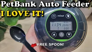 Petbank Automatic Rechargeable Aquarium Fish Feeder REVIEW