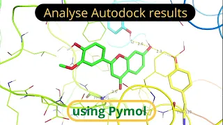 Autodock result protein-ligand interaction analysis using pymol | pymol biomolecules