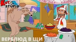 KuTstupid - Верблюд в щи