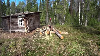 Работу в избе закончил.  Всю ночь вокруг избы ходит зверь. 11 серия /Ремонт второй избы 2023/