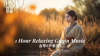 古琴《芦苇荡》1 Hour Relaxing Guqin Zen Music with Natural Sounds, Whisper of the Reeds 冥想静心安神 古典音乐