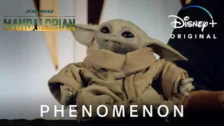 Phenomenon | The Mandalorian | Disney+