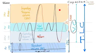 Pulmonary Function Tests (PFTs) - Spirometry - Lung Volumes & Capacities Made Simple - Physiology