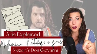 Opera Singer REACTS | Mozart - Madamina, il catalogo è questo | Don Giovanni